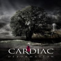 Cardiac - Deformation (2014)