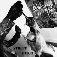 Nekrofilth - Street Bitch (2013)