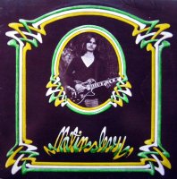 Matti Jarvinen - Matin Levy