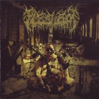 Fleshrot - Decomposition Of Humanity (2008)  Lossless