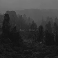 Kalloused - Damn You Believer (2016)