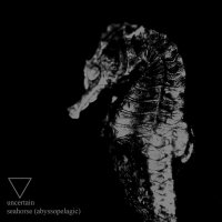 Uncertain - Seahorse (Abyssopelagic) (2012)