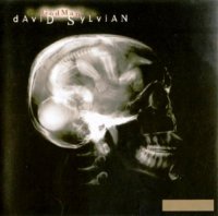 David Sylvian - Godman [Enhanced CDS] (1999)  Lossless