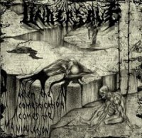 Undersave - After the Domestication Comes the Manipulation (2008)