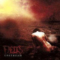 Faeces - Upstream (2011)  Lossless