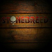 Stonebreed - Stonebreed (2013)