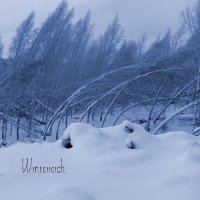 Teuras - Winterreich (2016)