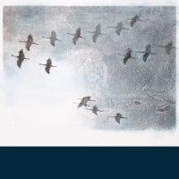 Stephen O\'Malley - Gruidés (2015)