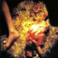 Fen - Surgical Transfusion Of Molting Sensory Reflections (2000)