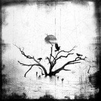 Urt - Varjuring (Ltd.Ed.) (2005)