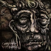 Cardinal - VantaBlack (2016)