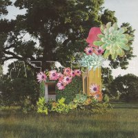 Medicine - Home Everywhere (2014)
