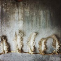 Chii - Chii (2014)