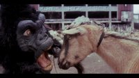 Клип The Black Dahlia Murder - Goat of Departure (2013)