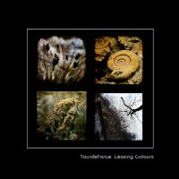 TourdeForce - Leaving Colours (2011)