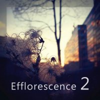 VA - Efflorescence 2 (2016)