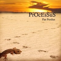 PrOcEsSuS - Pas Perdus (2010)