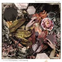 Illustration Sonore - Undisciplined Strips Of Emotions (Limited Edition) (2013)