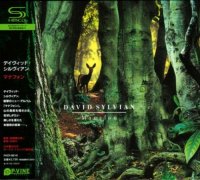 David Sylvian - Manafon (2009)  Lossless