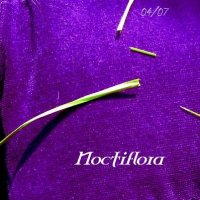 Noctiflora - 04/07 (2008)