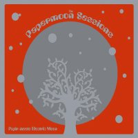 Papir Meets Electric Moon - The Papermoon Sessions (2013)