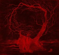 Wound Upon Wound - Wound Upon Wound (2012)