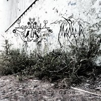 Lapageria Rosea / Macáes - Pureza y Caos (Split) (2013)