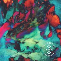 Psychedelic Porn Crumpets - High Visceral, Pt. 2 (2017) (2017)