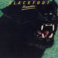 Blackfoot - Tomcattin\' (1980)  Lossless