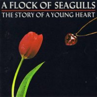 A Flock Of Seagulls - The Story Of A Young Heart (1984)