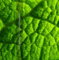 Creation VI - Omnipresence (2016)
