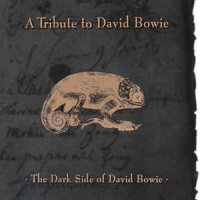 VA - A Tribute To David Bowie : The Dark Side Of David Bowie (1997)