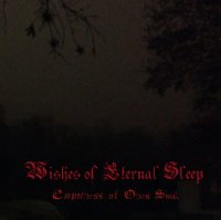 Wishes Of Eternal Sleep - Emptiness Of One\'s Soul (2014)