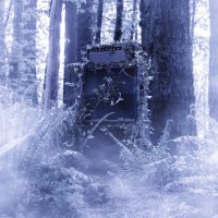 Young Hunter - Young Hunter (2016)