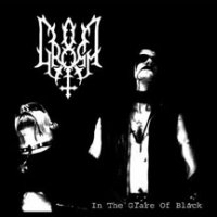 Gromm & Endless Blizzard - In the Glare of The Black / Beyond the Frozen Gates (Split) (2006)