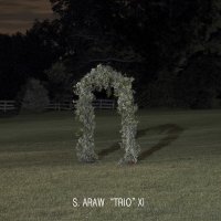 S. Araw \"Trio\" XI - Gazebo Effect (2015)
