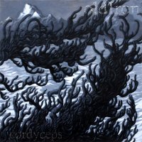 Old Iron - Cordyceps (2014)