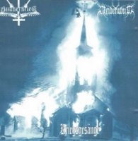 Bunkerkrieg & Heidenwut - Kriegsgesänge (Split) (2014)