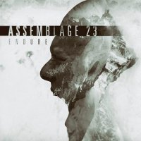 Assemblage 23 - Endure (2016)