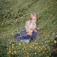 Like Rats - Like Rats (2012)