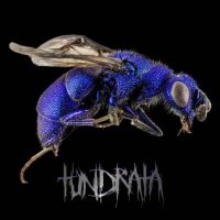 Tundrata - Tundrata (2017)