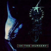 In The Nursery - Anatomy Of A Poet (1994)