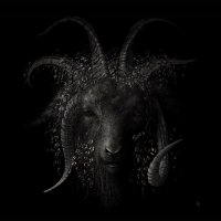 Aoki Yutaka - Lost in Forest (2017)