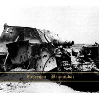 Eisregen - Brummbär (2015)