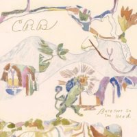 Chris Robinson Brotherhood - Barefoot In The Head (2017)