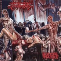 Bowel Stew - Necrocoital Amputorgy (2010)  Lossless