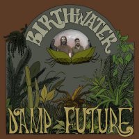 Birthwater - Damp Future (2015)
