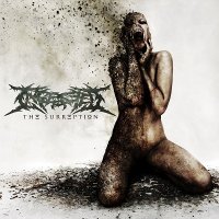 Ingested - The Surreption (2011)
