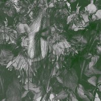 Lesser Men - Biding Time (2017)