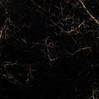 Existe - Esprit Sensible, Monde Fragile (2016)